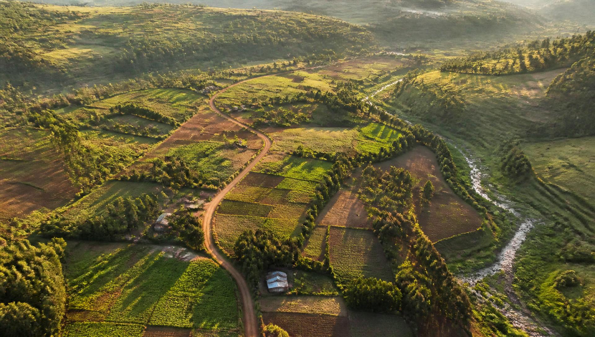 Aerial view of Kenyan highland farmland, with fields, a road and a river.