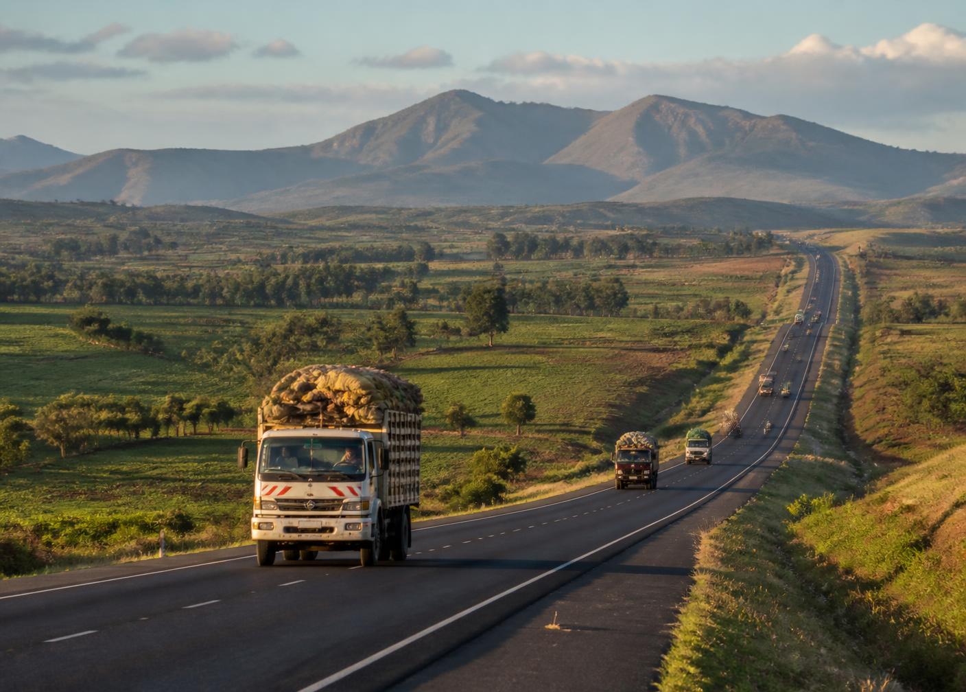 Lorries carrying produce along a highway through Kenyan farmland.