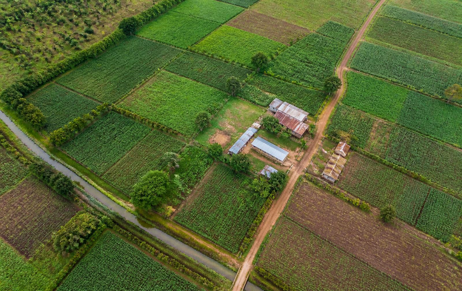 Low-altitude aerial view of farm blocks, a road and farm buildings.